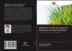 Sélection in vitro de riz pour la tolérance au stress abiotique