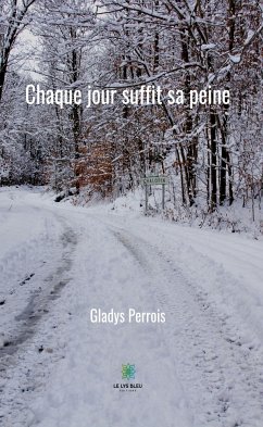 Chaque jour suffit sa peine (eBook, ePUB) - Perrois, Gladys