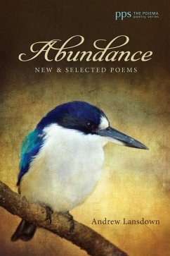 Abundance (eBook, PDF) - Lansdown, Andrew