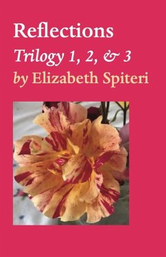 Cover Reflections (eBook, ePUB)