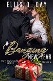 A Banging New Year (Hot Holidays, #2) (eBook, ePUB)