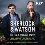 Die Bestie von Grimpen oder Der Hund der Baskervilles / Sherlock & Watson - Neues aus der Baker Street Bd.8 (MP3-Download)