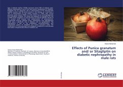Effects of Punica granatum and/ or Sitagliptin on diabetic nephropathy in male rats - Mohamed, Hanan