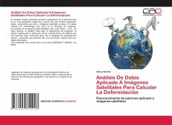 Análisis De Datos Aplicado A Imágenes Satelitales Para Calcular La Deforestación - Solarte, Henry