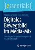 Digitales Bewegtbild im Media-Mix (eBook, PDF)