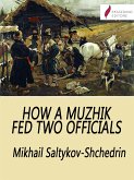 How a Muzhik Fed Two Officials (eBook, ePUB)