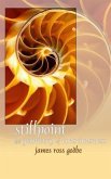 Stillpoint (eBook, ePUB)