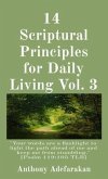 14 Scriptural Principles for Daily Living Vol. 3: "Your words are a flashlight to light the path ahead of me and keep me from stumbling." [Psalm 119 (eBook, ePUB)
