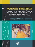 Manual Práctico de Cirugía Endoscópica de la Pared Abdominal (eBook, ePUB)