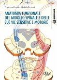 Anatomia funzionale del midollo spinale e delle sue vie sensitive e motorie (eBook, PDF)