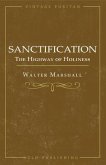 Sanctification; The Highway of Holiness (eBook, ePUB)