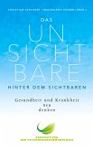 Das Unsichtbare hinter dem Sichtbaren (eBook, ePUB)