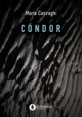 Cóndor (eBook, ePUB)