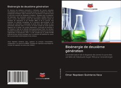 Bioénergie de deuxième génération - Quinteros Vaca, Omar Napoleon