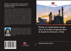 Étude sur l'adsorption de gaz pour le schiste Longmaxi dans le bassin du Sichuan, Chine - NGOY, NADEGE MBULA