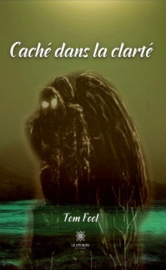 Caché dans la clarté (eBook, ePUB) - Fool, Tom