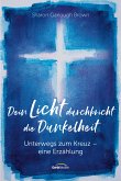 Dein Licht durchbricht die Dunkelheit (eBook, ePUB)