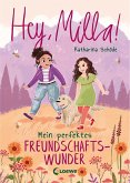 Mein perfektes Freundschaftswunder / Hey, Milla! Bd.2 (eBook, ePUB)