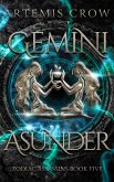 Gemini Asunder (Zodiac Assassins, #5) (eBook, ePUB)