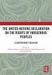 The United Nations Declaration on the... - Bild 1
