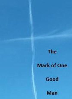 Cover The Mark of One Good Man (eBook, ePUB)