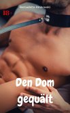 Den Dom gequält (eBook, ePUB)