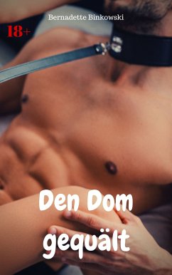 Den Dom gequält (eBook, ePUB) - Binkowski, Bernadette