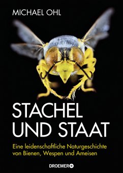 Stachel und Staat (Mängelexemplar) - Ohl, Michael