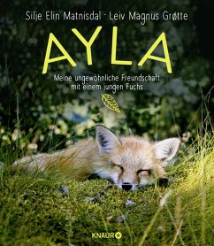 Ayla - meine ungewöhnliche Freundschaft mit einem jungen Fuchs (Mängelexemplar) - Matnisdal, Silje Elin;Grøtte, Leiv Magnus