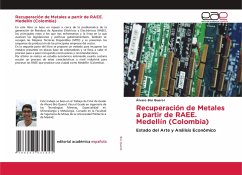 Recuperación de Metales a partir de RAEE. Medellín (Colombia) - Brú Querol, Álvaro