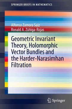 Geometric Invariant Theory, Holomorphic Vector Bundles and the Harder-Narasimhan Filtration - Zamora Saiz, Alfonso;Zúñiga-Rojas, Ronald A.