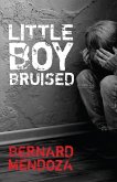 Little Boy Bruised (eBook, ePUB)