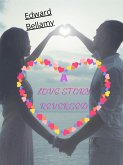 A Love Story Reversed (eBook, ePUB)