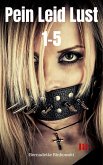 Pein Leid Lust 1-5 (eBook, ePUB)