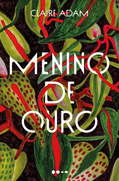 Cover Menino de ouro (eBook, ePUB)
