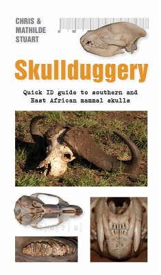Skullduggery (eBook, ePUB) - Stuart, Chris; Stuart, Mathilde