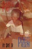 PAINFUL PAST PERFECT PRESENT (eBook, ePUB)