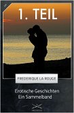 Erotische Geschichten - 1. Sammelband (eBook, ePUB)