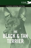 The Black and Tan Terrier - A Complete Anthology of the Dog - (eBook, ePUB)