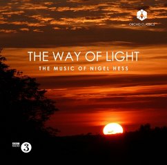 The Way Of Light - Diverse
