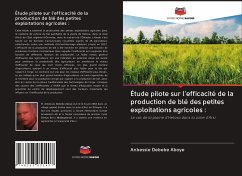 Étude pilote sur l'efficacité de la production de blé des petites exploitations agricoles : - Debebe Aboye, Anbessie