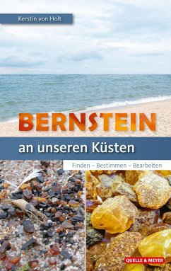 Bernstein an unseren Küsten - Holt, Kerstin von