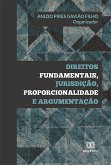 Direitos Fundamentais, Jurisdição, Proporcionalidade e Argumentação (eBook, ePUB)