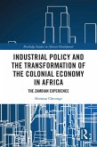 Industrial Policy and the Transformation of the Colonial Economy in Africa (eBook, PDF)