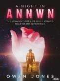 A Night In Annwn (eBook, ePUB)