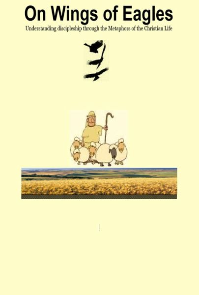 On Wings of Eagles (eBook, ePUB) On Wings of Eagles (eBook, ePUB)