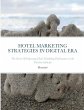 Hotel Marketing Strategies in Digital... - Bild 1