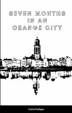 Seven Months in an Orange City