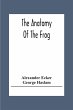 The Anatomy Of The Frog - Bild 1