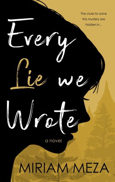 Every Lie We Wrote (eBook, ePUB)